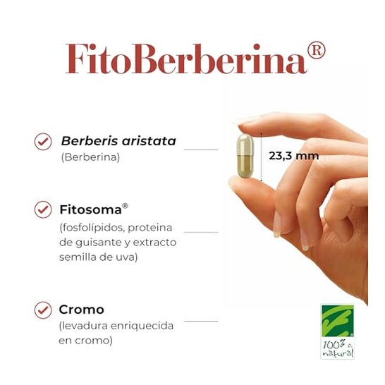 100% Natural FitoBerberina 30caps 100% Natural FitoBerberina 30caps