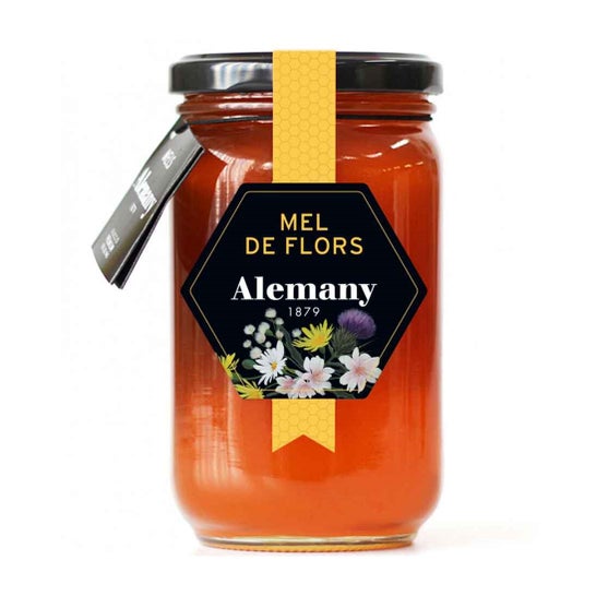 Alemany Polyflora Honey 500g