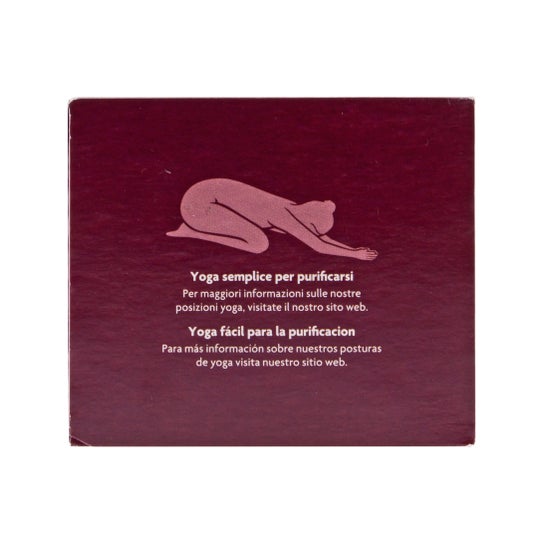 YOGI TEA DETOX BIO G30,6
