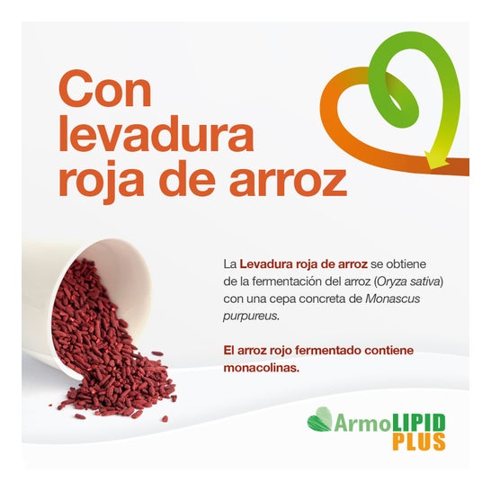ArmoLIPID Plus Control Colesterol 60comp