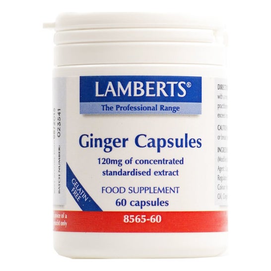 Lamberts ginger 60caps