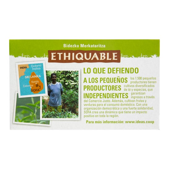 Ethiquable Green Tea Ginger &amp; Lime Eco 20 Sachets