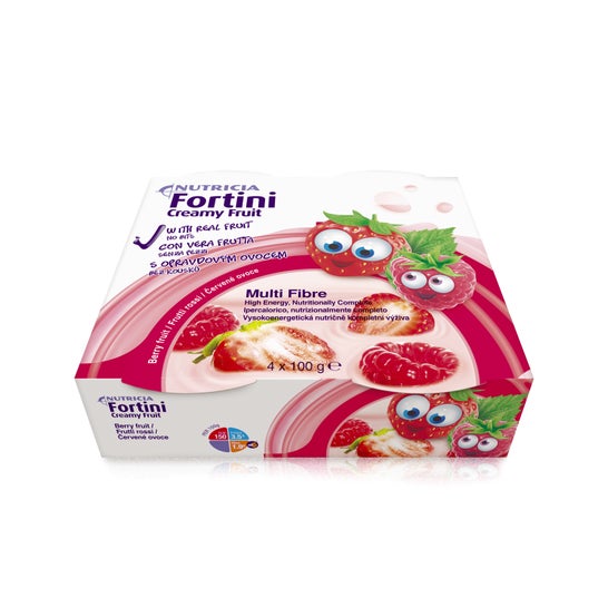 Nutricia Fortini Creamy Fruit Frutti Rossi 4x100g