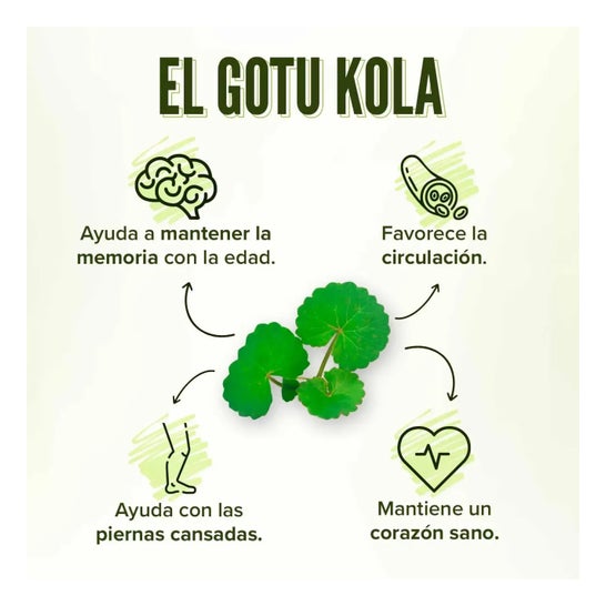 HSN Extracto de Gotu Kola 65:1 150mg 120vcaps