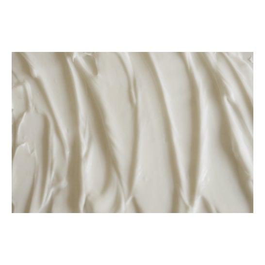 Slosophy Nutri Dive Cream 50ml