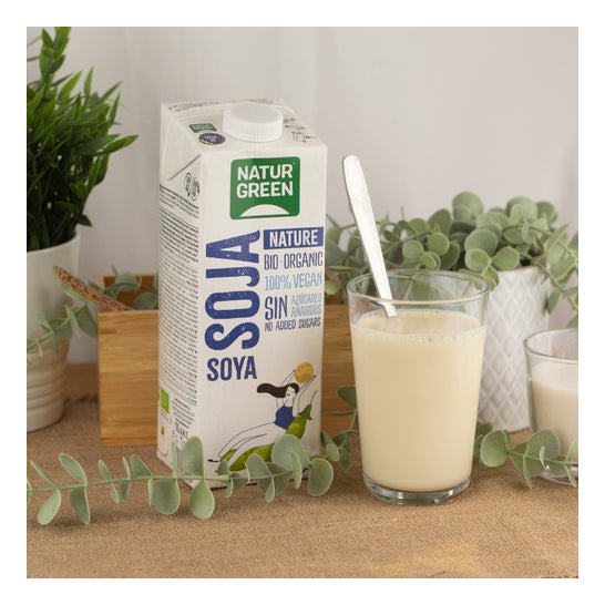 Naturgreen Organic Natural Soy Drink 1 L