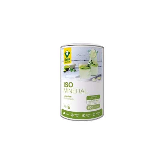 Raab Vitalfood Iso-Mineral Lime Flavour 600g