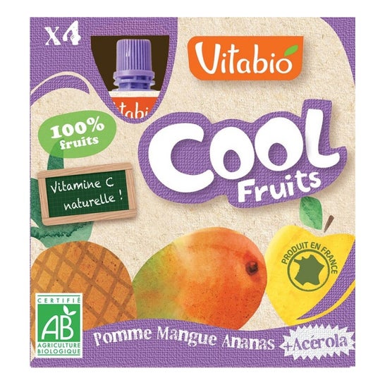 Vitabio Cool Fruits Manzana Mango Piña 12x90g
