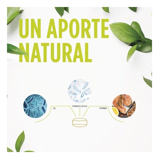 Digest Ultraprobiotic 30 tablets (600mg) Digest Ultraprobiotic 30 tablets (600mg)