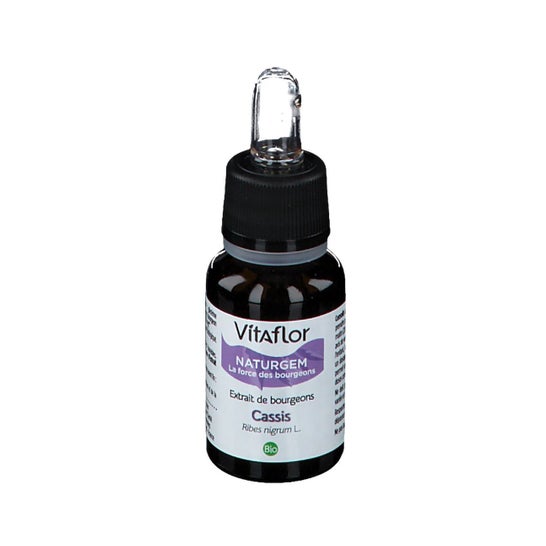 Vitaflor Organic Blackcurrant Bud Extract 15ml