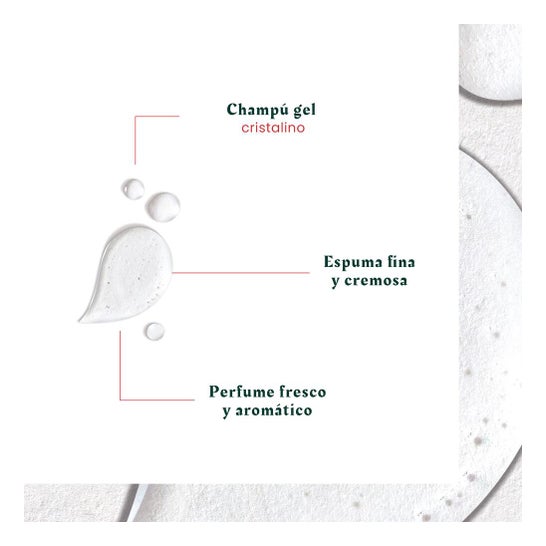 René Furterer Neopur Champú Equilibrante Anticaspa Caspa Grasa 150 ml