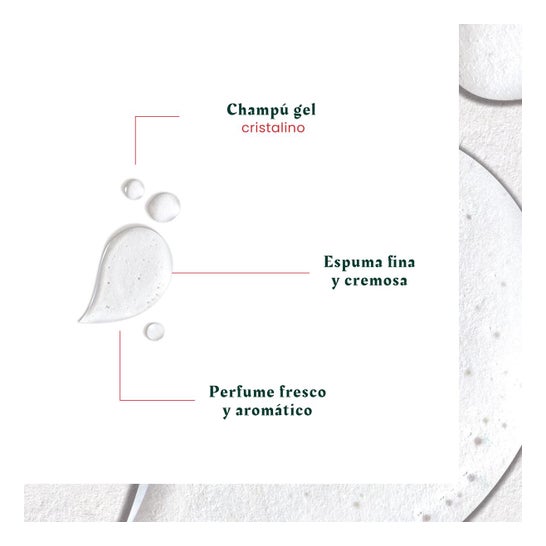 René Furterer Neopur Champú Equilibrante Anticaspa Caspa Grasa 150 ml