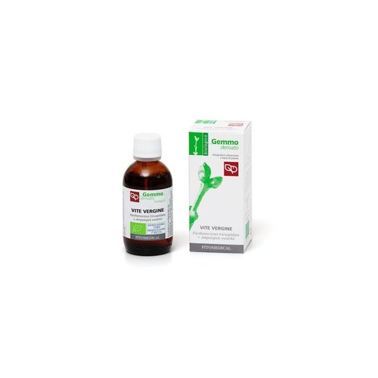 Fitomedical Lúpulo Tintura Madre Bio 100ml | PromoFarma