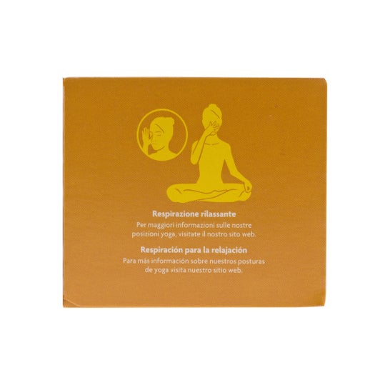 Yogi Tea Detox con limone 17 bustine