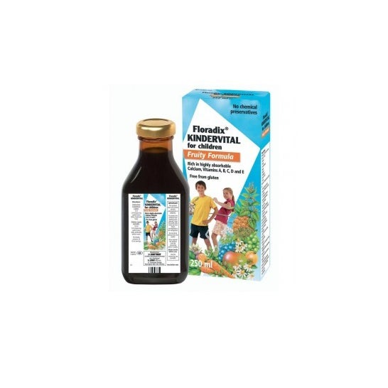 Floradix Kindervital® Fruity 250ml