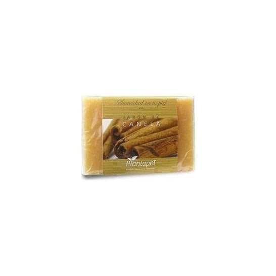 Plantapol kanelsæbe 100g