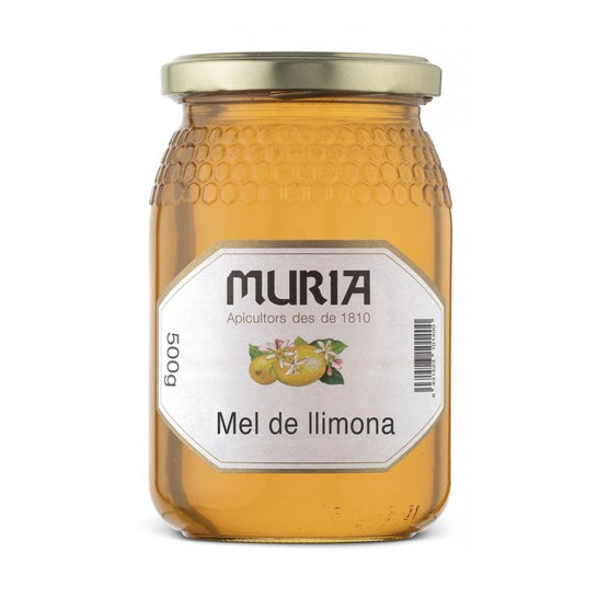 TARRO MIEL DE MONTAÑA 500GR - Citrus Gourmet