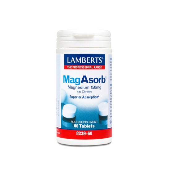 Lamberts Magasorb® 60 tabletten