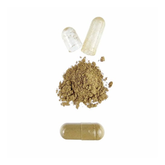 HSN Extracto de Bacopa 25:1 500mg 120vcaps