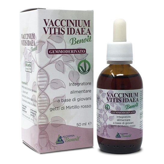 Alchimia Benoit Vaccinium Vitis Glicerina Macerada 50ml