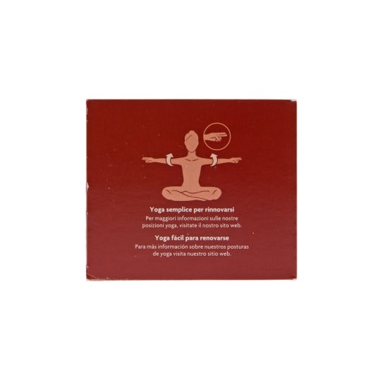 Yogi Tea Joie de Vivre 17 Saszetek 30,6G