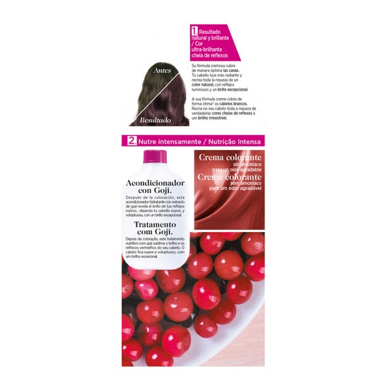 L'Oreal Casting Creme Gloss 316-Violin