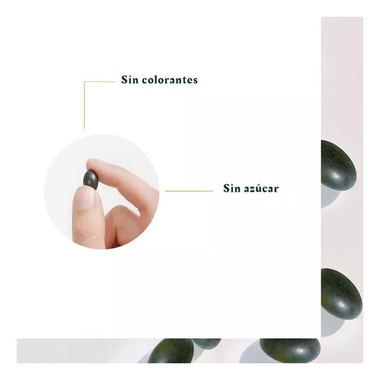 René Furterer Vitalfan Reactional Hair Loss 3x30caps René Furterer Vitalfan Reactional Hair Loss 3x30caps