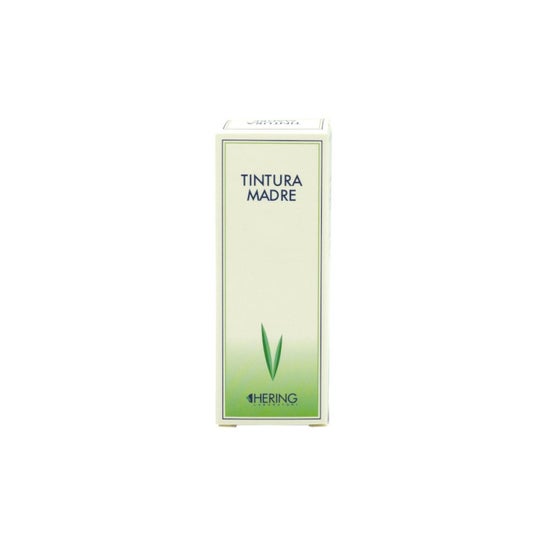 Hering Vitis Vinifera Tintura Madre 1L