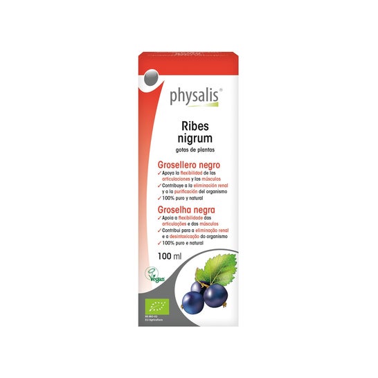 Physalis Ribes nero Estratto di ribes nero Bio 100ml