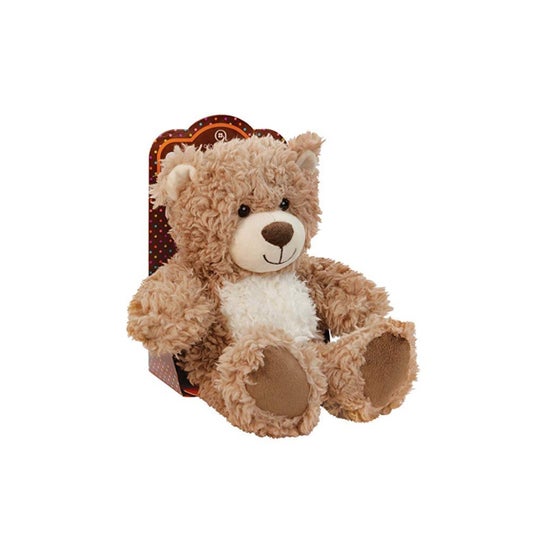 Aroma Home Cozy Hottie Hot / Cold Bear