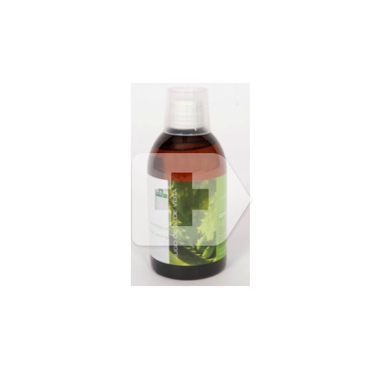 Sotya jugo de aloe vera 500ml