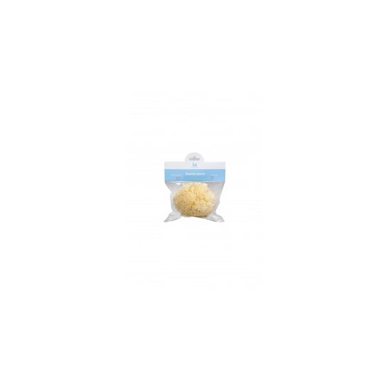 Interapothek esponja natural grande 1 ud