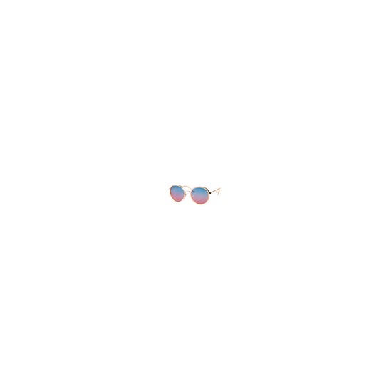 Blizzard Sunglasses 2103 Gdbluepk