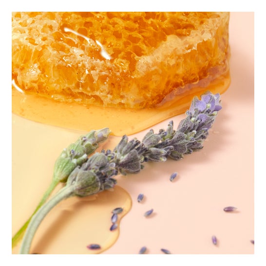 Nuxe Rêve de Miel Champú Sólido Suave 65gr