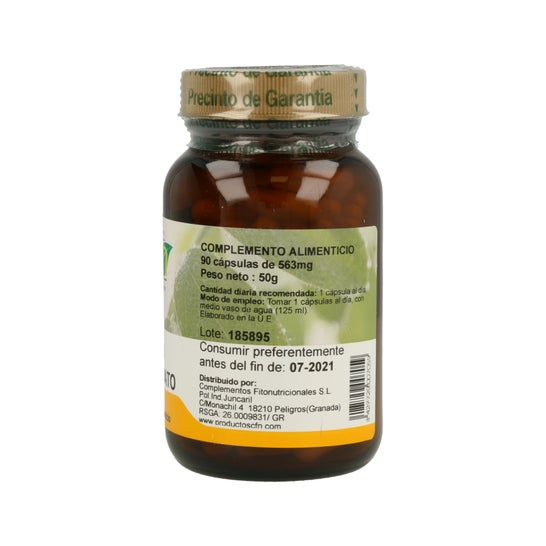 Cfn Zinc gluconato 90 caps