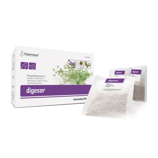 Digester  1.5 G 20 Filters