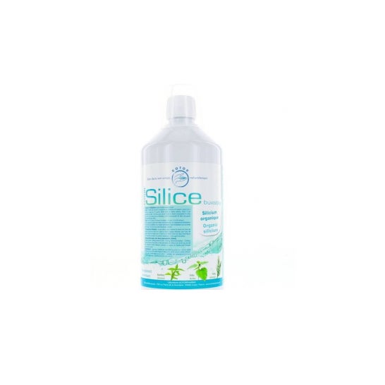 Kotor Silica Soil Drink Fl 1 litro