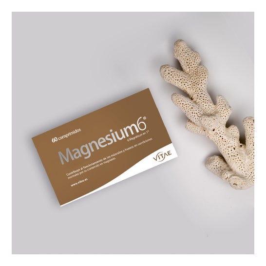 Vitae Magnesium6 120 comp