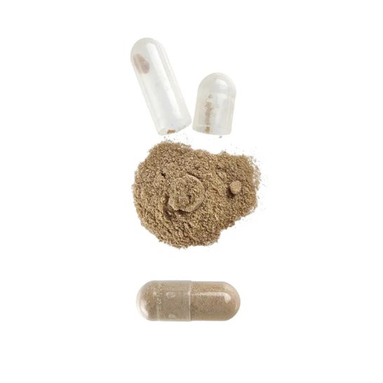 HSN Extracto de Vitex 4:1 300mg 120vcaps