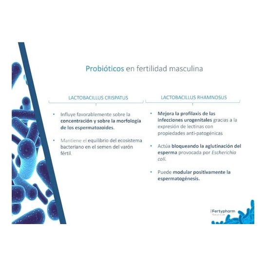 Fertybiotic Uomo 60 Caps Fertybiotic Uomo 60 Caps