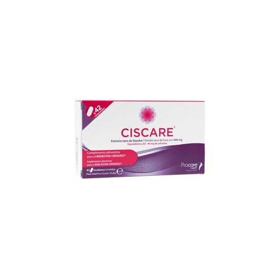 Procare Health Ciscare Bearberry Extract 42comp