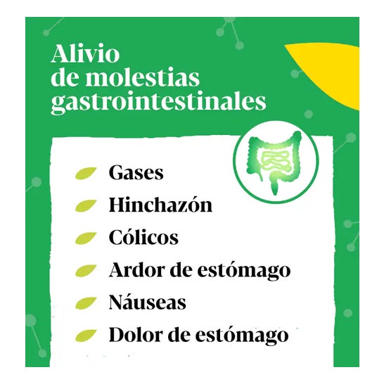 Iberogast Gotas 20ml