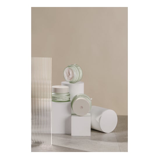 Mizon Phyto Plump Collagen Night Cream 50 ml