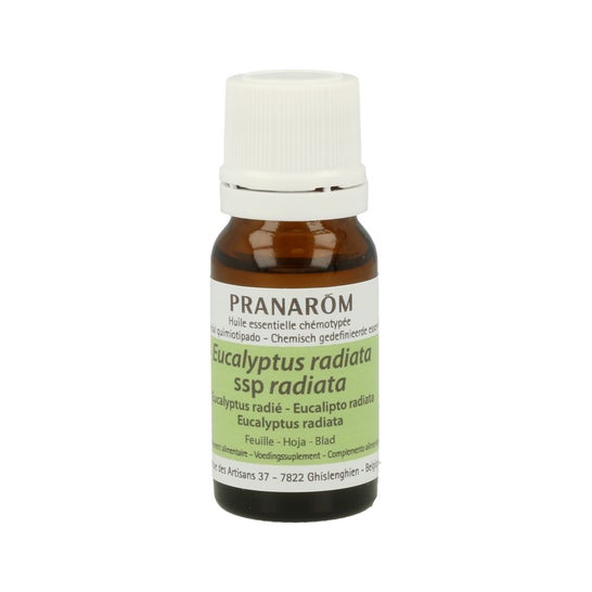 Pranarôm Aceite Esencial de Eucalipto Radiata 10ml