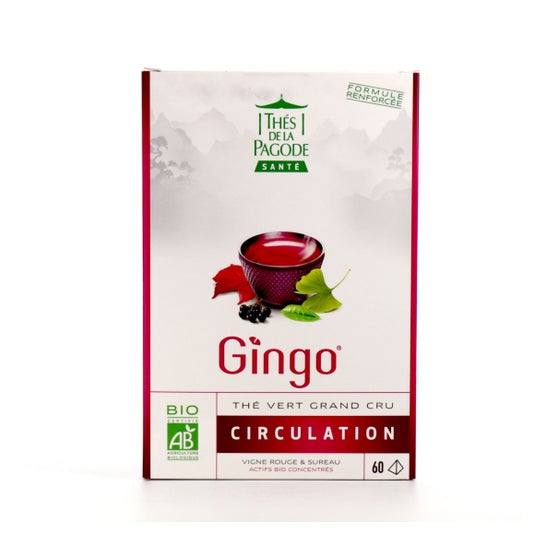 Thés de la Pagode Gingo Té Verde Circulación 60uds