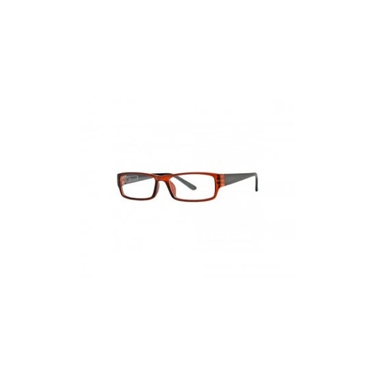 Nordic Vision modelo Sater color marrón y negro dioptrías +2,00 1ud