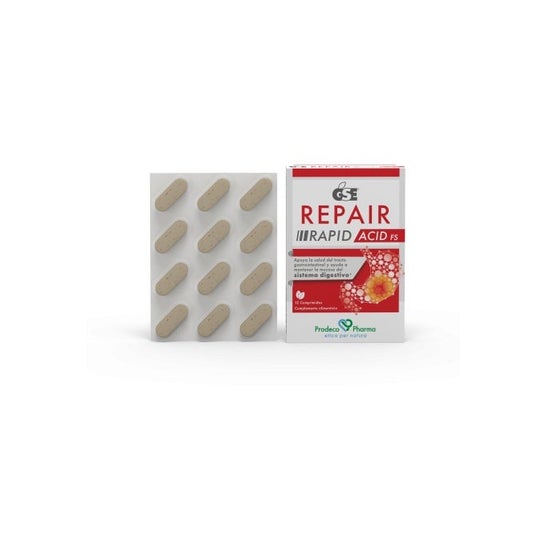 GSE Repair Rapid Acid 12comp