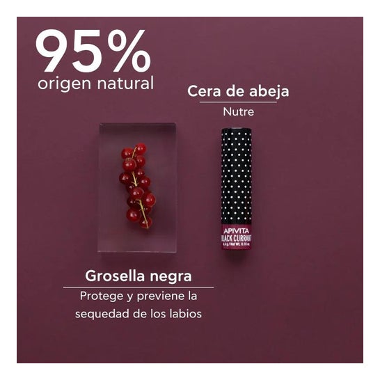 Ribes nero cura labbra Apivita 1ud Ribes nero cura labbra Apivita 1ud