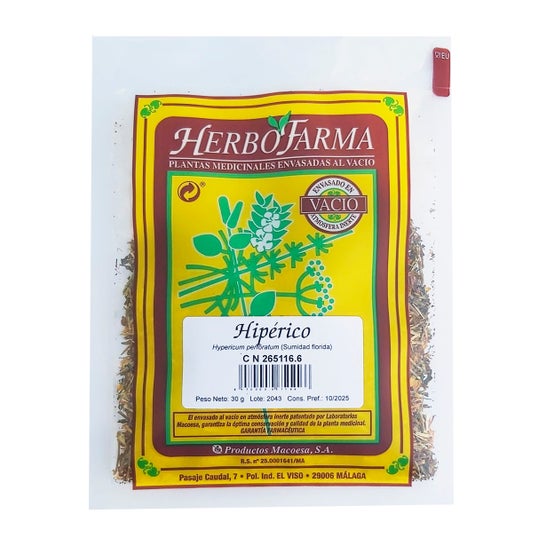 Hypericum Herbopharma Próżnia 20 G