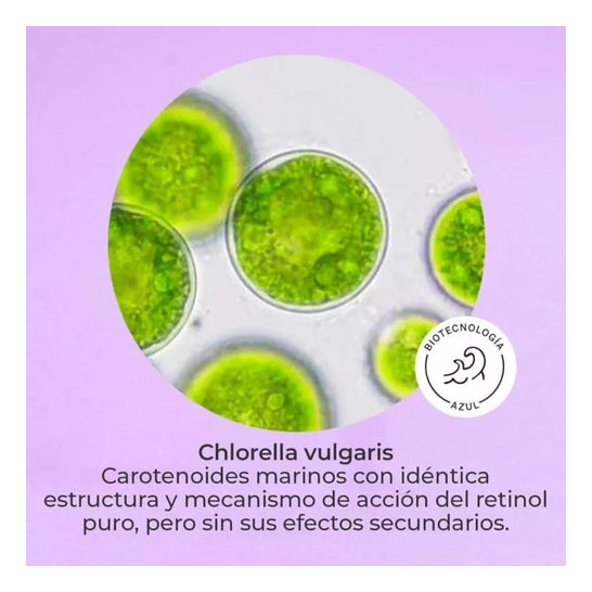 Segle Tindadital Cream 50ml Segle Tindadital Cream 50ml